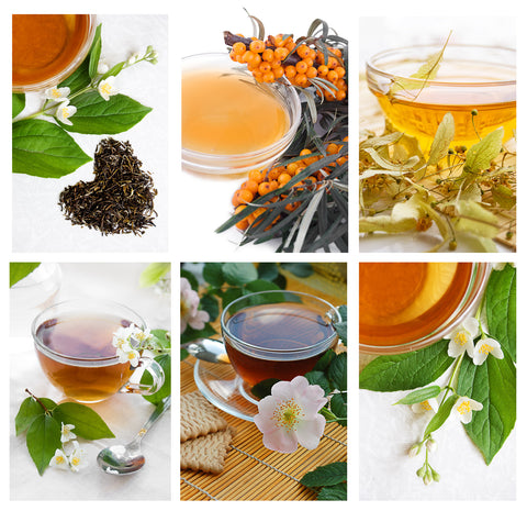 Gourmet Organic Teas and Tisanes